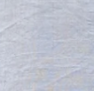 Short Tibet Shirt